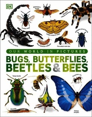 Our World in Pictures Bugs, Butterflies, Beetles and Bees