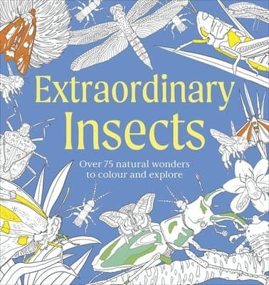 Extraordinary Insects Colouring Book