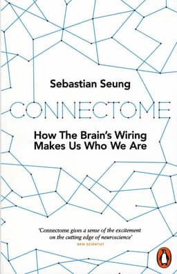 Connectome