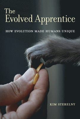 Evolved Apprentice