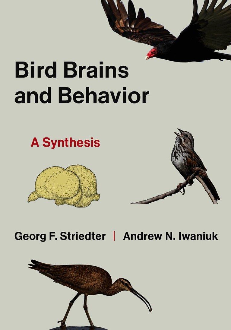 Bird Brains and Behavior