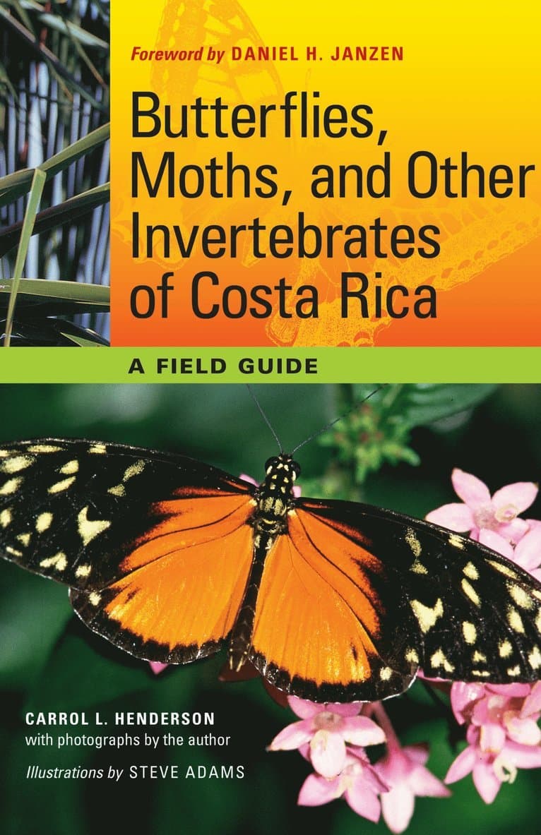 Butterflies, Moths, and Other Invertebrates of Costa Rica