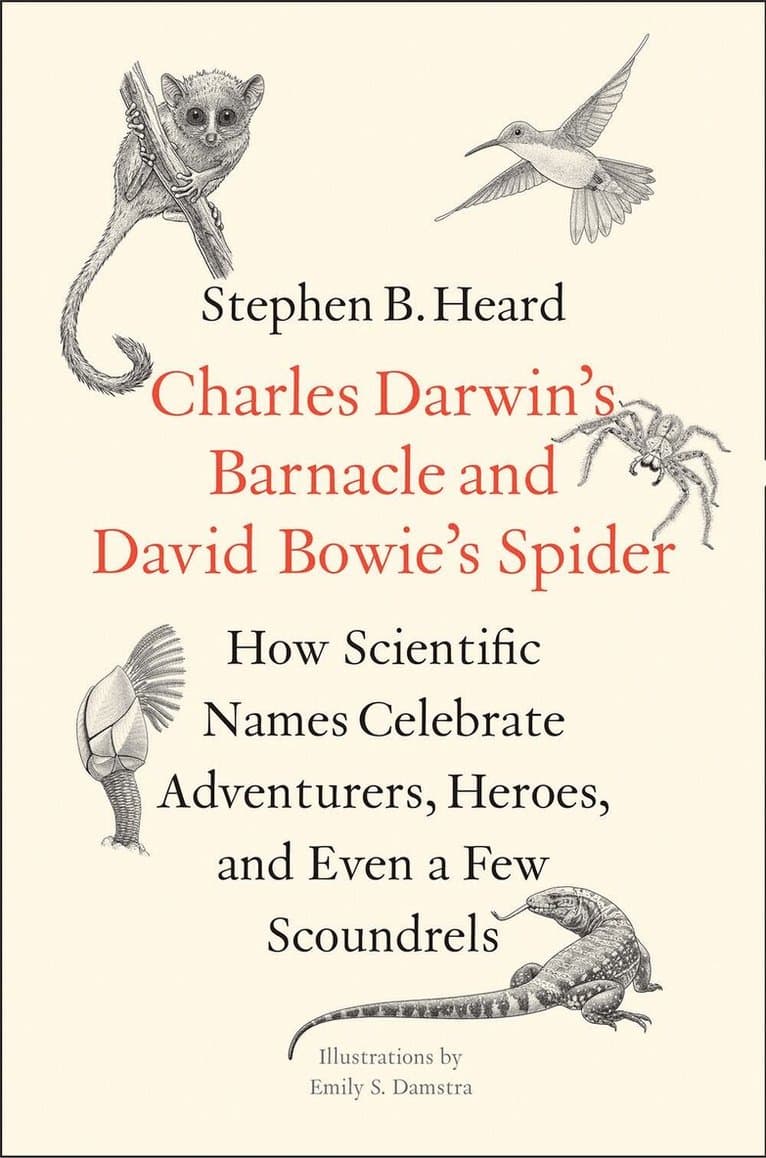 Charles Darwin's Barnacle and David Bowie's Spider