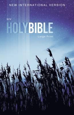 Outreach Bible-NIV