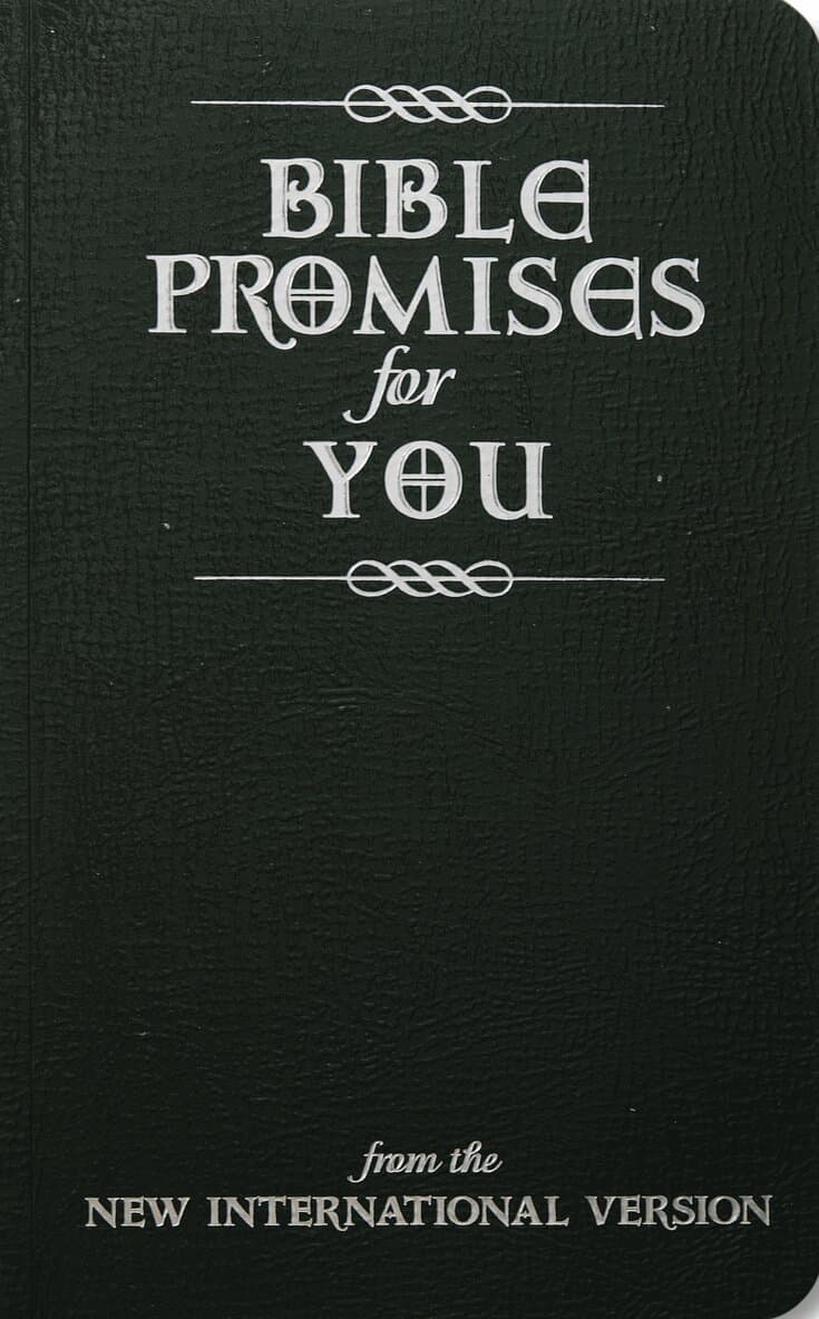 Bible Promises for You