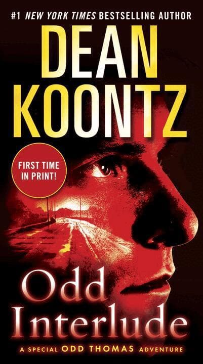 Omslag till boken Odd Interlude av Dean Koontz