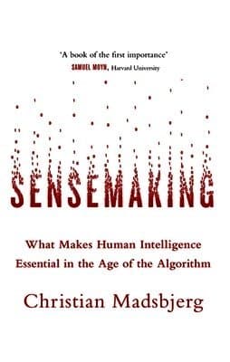 Sensemaking