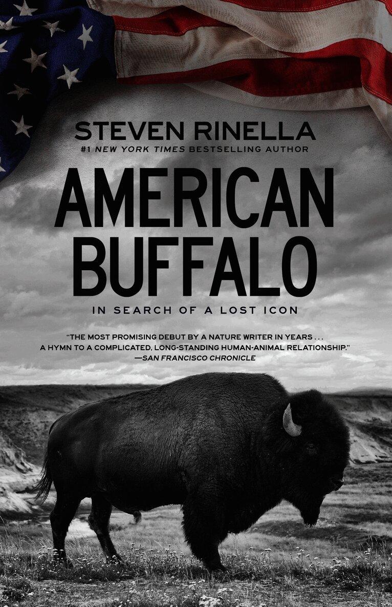 American Buffalo