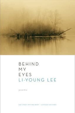 Behind My Eyes