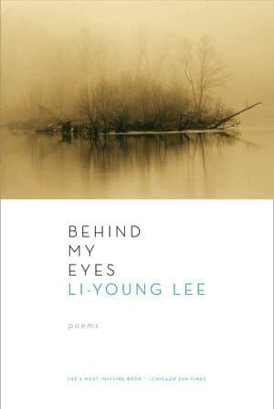 Behind My Eyes