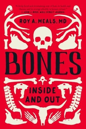 Bones