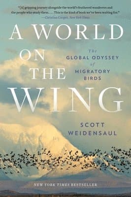 World on the Wing
