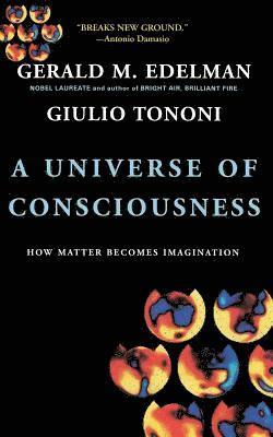 Universe Of Consciousness How Matter Becomes Imagination