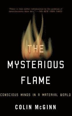 Mysterious Flame