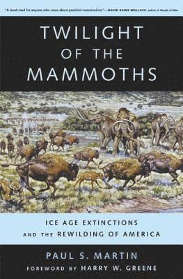 Twilight of the Mammoths