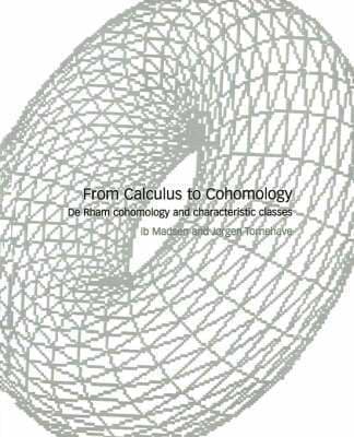 From Calculus to Cohomology