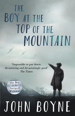 Boy at the Top of the Mountain