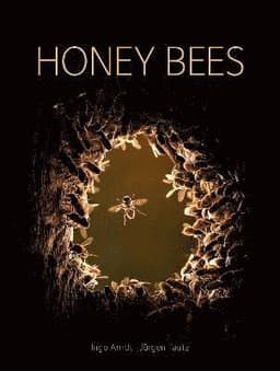 Honey Bees