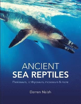 Ancient Sea Reptiles