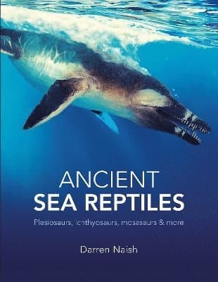 Ancient Sea Reptiles