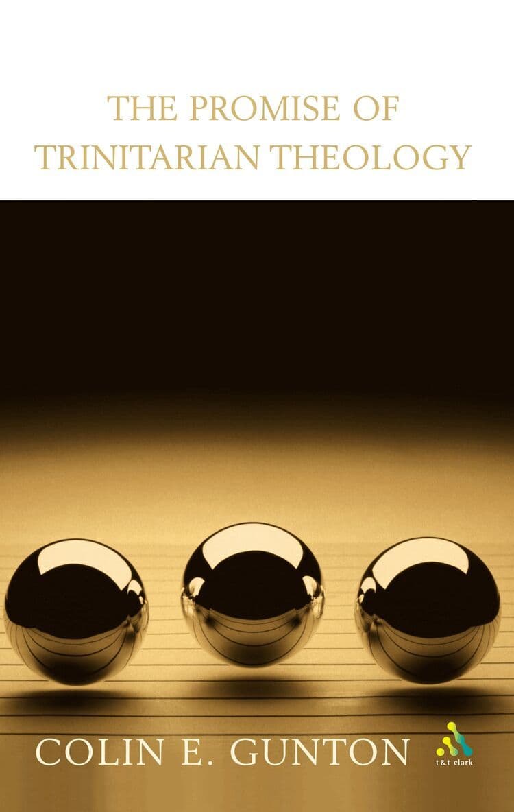 Promise of Trinitarian Theology
