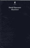 Blackbird