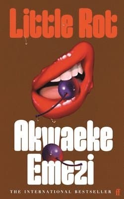Omslag till boken Little Rot av Akwaeke Emezi