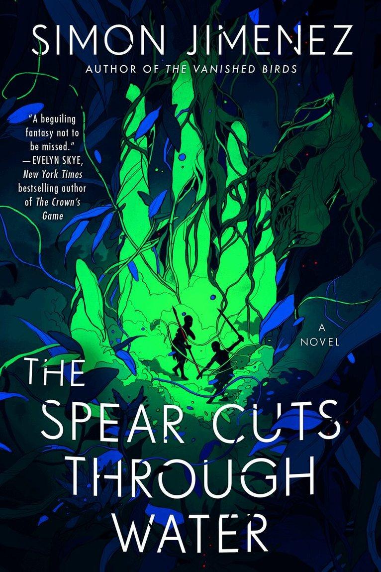 Spear Cuts Through Water