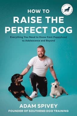 How to Raise the Perfect Dog
