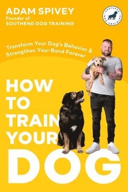 How to Train Your Dog