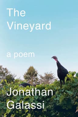 Vineyard