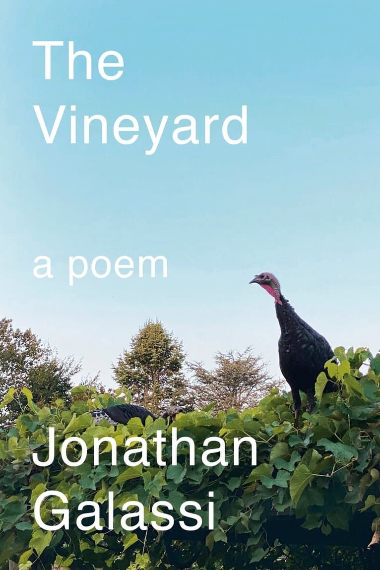 Vineyard