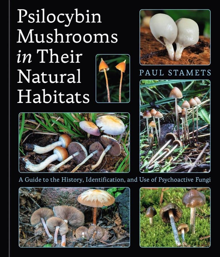 Psilocybin Mushrooms in Their Natural Habitats