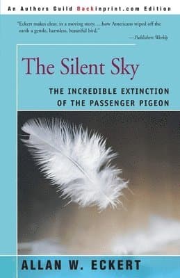 Silent Sky