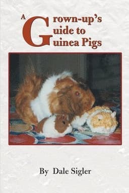 Grown-Up's Guide to Guinea Pigs