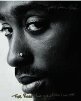 Rose That Grew From Concrete