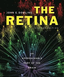 Retina