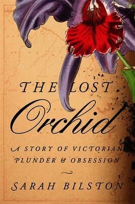 Lost Orchid