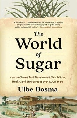 World of Sugar
