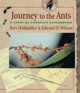 Journey to the Ants