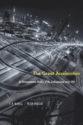 Great Acceleration