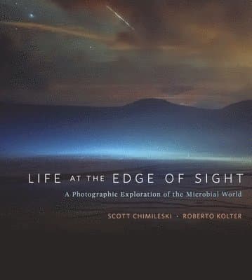 Life at the Edge of Sight