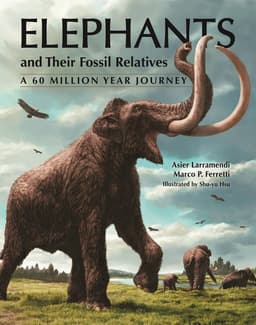Elephants and Their Fossil Relatives