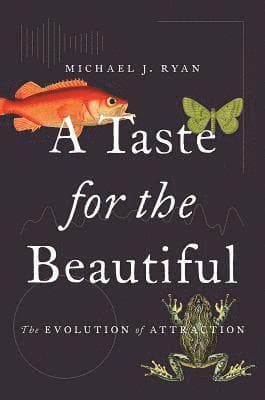 Taste for the Beautiful