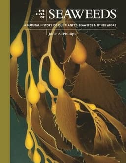 Lives of Seaweeds
