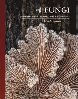 Lives of Fungi