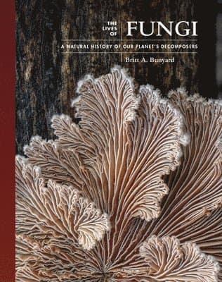 Lives of Fungi