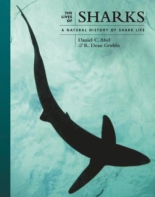 Lives of Sharks