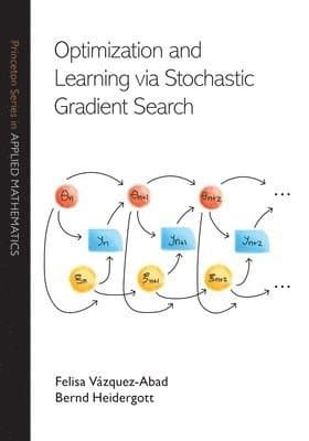 Optimization and Learning via Stochastic Gradient Search