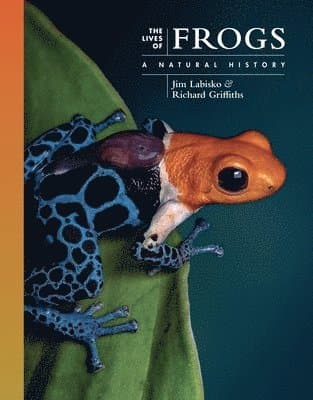 Lives of Frogs